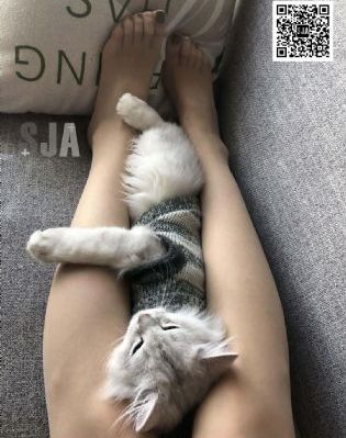 九九青青_高清全集在线观看